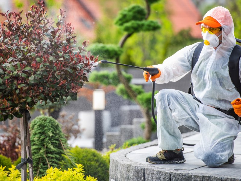 Kızılören Haşere İlaçlama